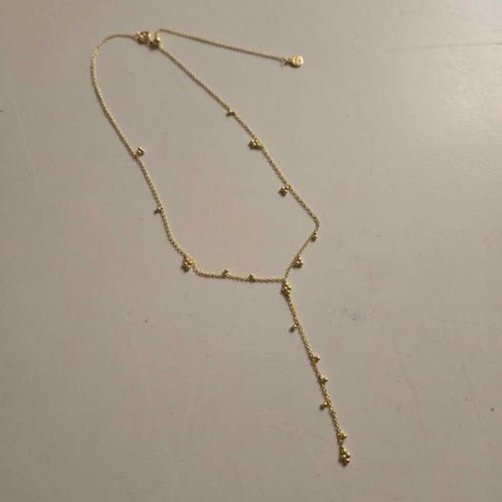 Gorjana Dainty Gold color Y-drop necklace
